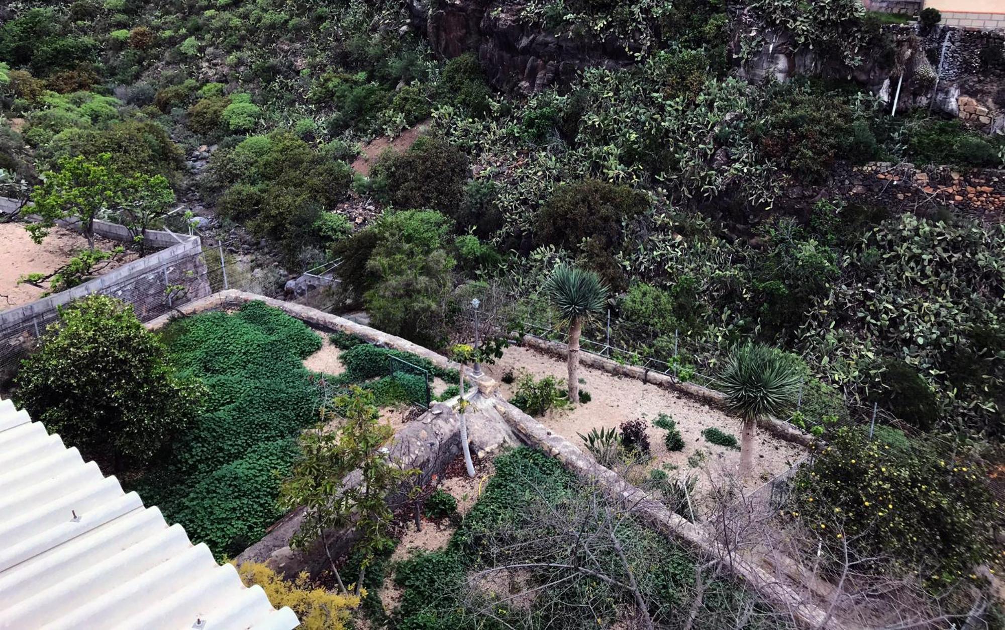 Acogedor Apartamento En San Miguel De Abona Kültér fotó
